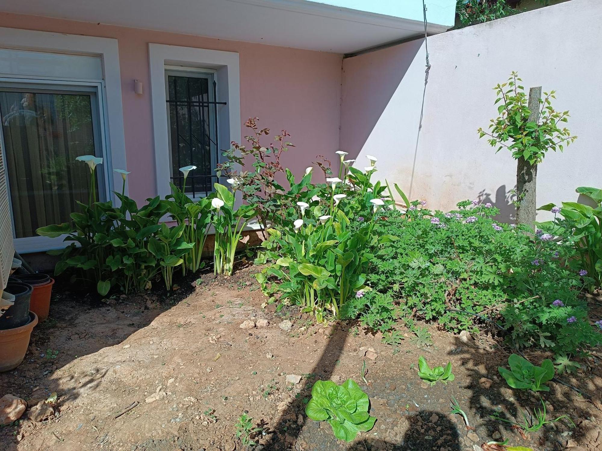 Gmv House Apartment Artemida (Attica)